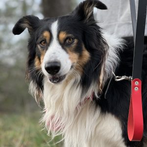 OPREMA ZA KUĆNE LJUBIMCE - KOKE